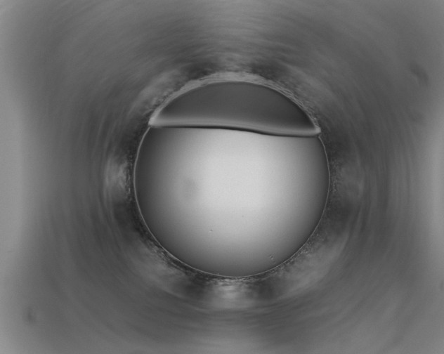 X0000113290088200909141213