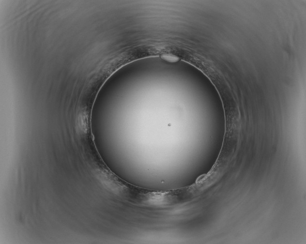 X0000113290090200909141213