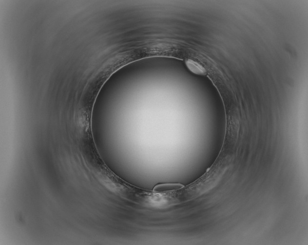 X0000113290091200909141213