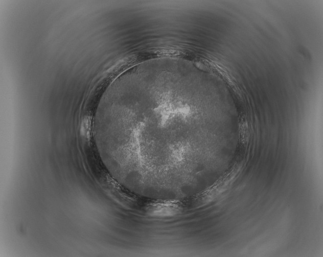 X0000113290093200909141213