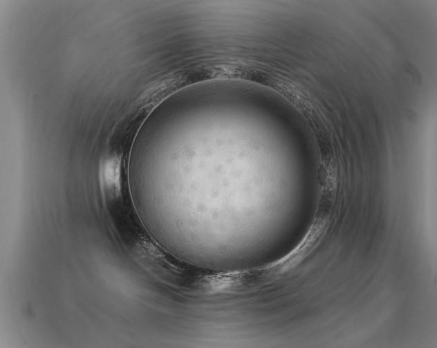 X0000113290094200909141213