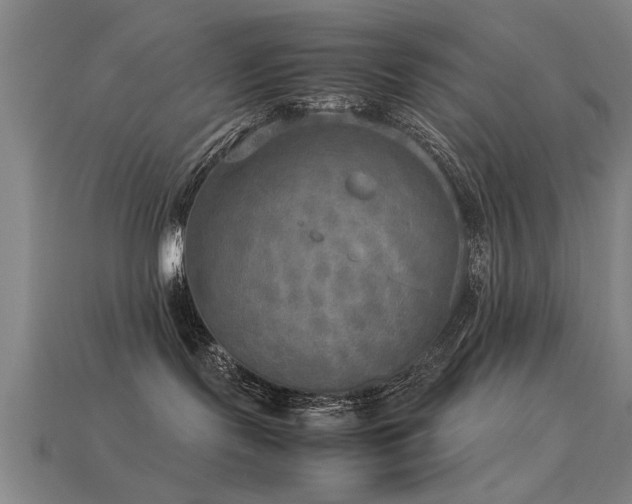 X0000113290095200909141213