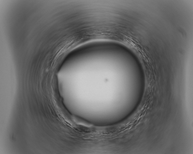 X0000113290097200909141213