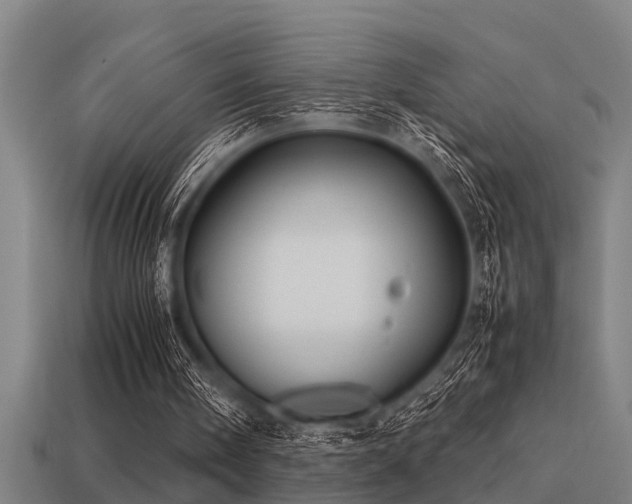 X0000113290098200909141213