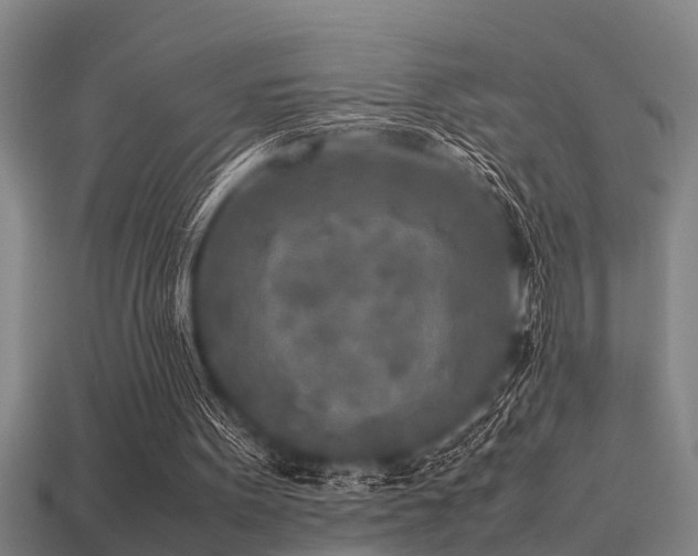 X0000113290099200909141213