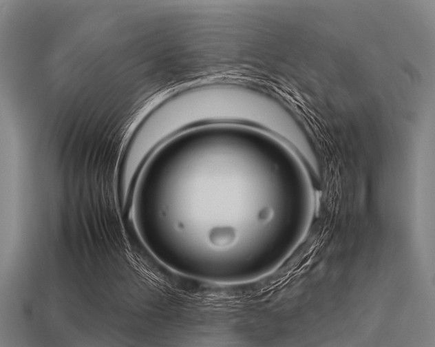 X0000113290100200909141213