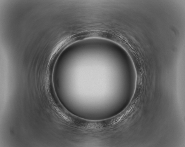 X0000113290101200909141213