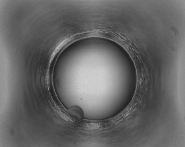 X0000113290102200909141213