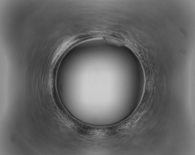 X0000113290103200909141213