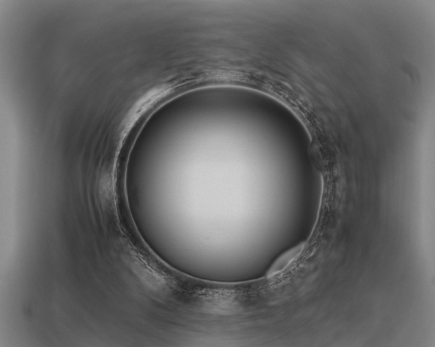 X0000113290104200909141213