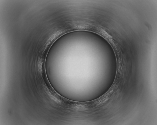 X0000113290106200909141213