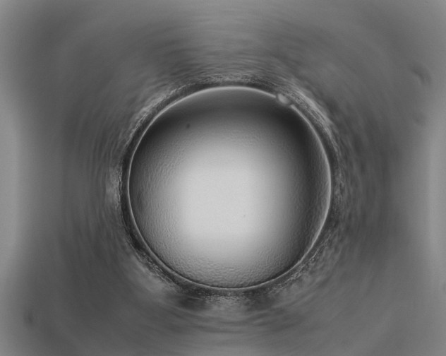 X0000113290107200909141213