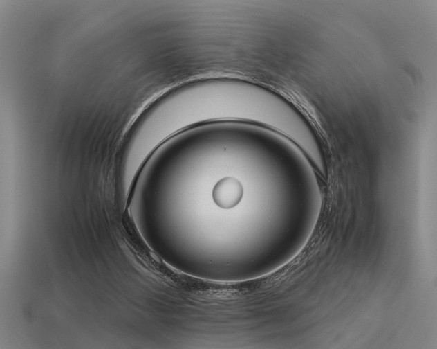 X0000113290108200909141213