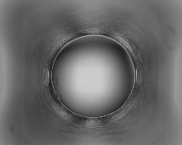 X0000113290109200909141213