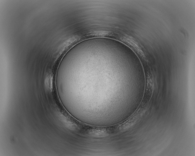 X0000113290110200909141213