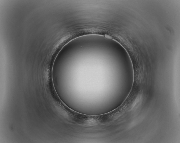 X0000113290111200909141213