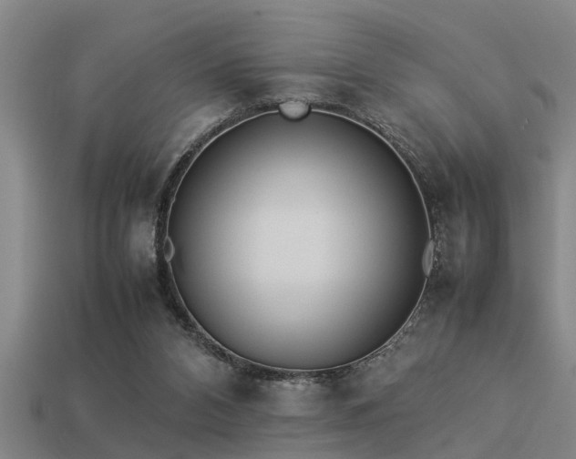 X0000113290112200909141212