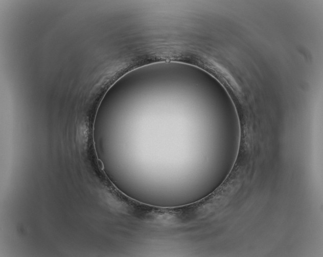 X0000113290113200909141212