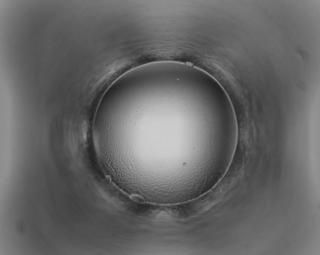 X0000113290115200909141212