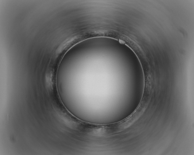 X0000113290116200909141212