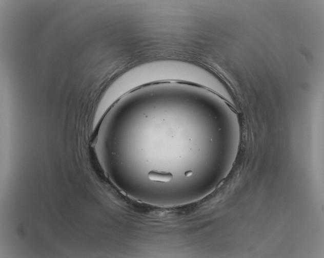 X0000113290117200909141212