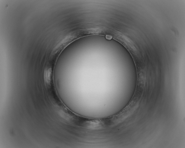 X0000113290118200909141212