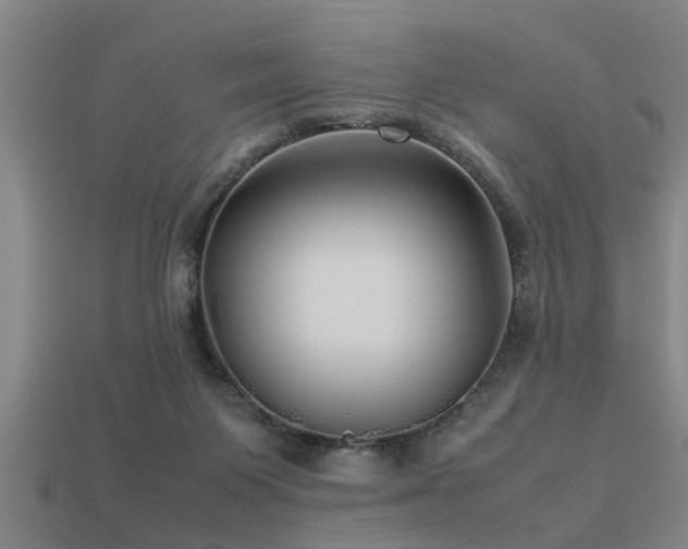 X0000113290119200909141212