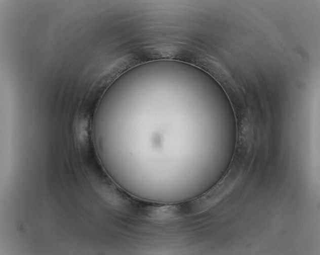 X0000113290122200909141212