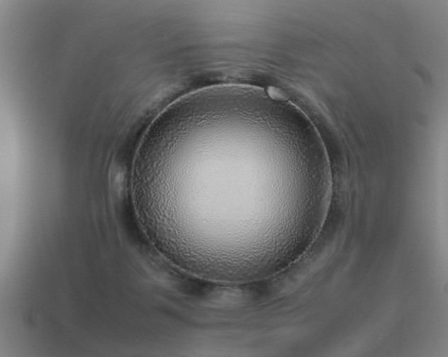 X0000113290123200909141212