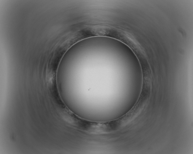 X0000113290125200909141212