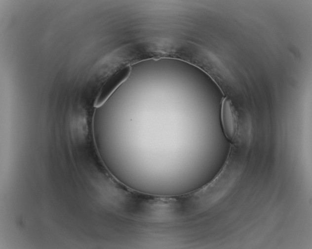 X0000113290128200909141212