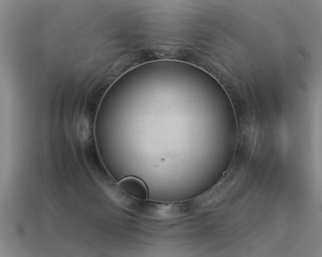 X0000113290130200909141212