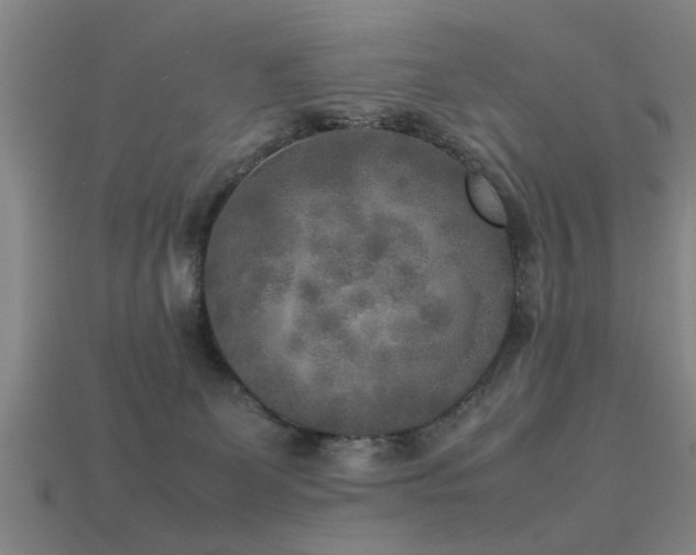 X0000113290131200909141212