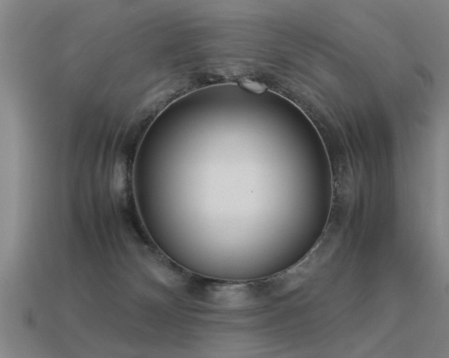 X0000113290132200909141212