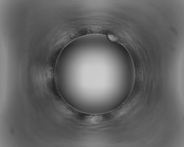 X0000113290135200909141212