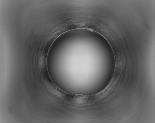 X0000113290136200909141212