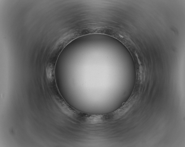 X0000113290138200909141212