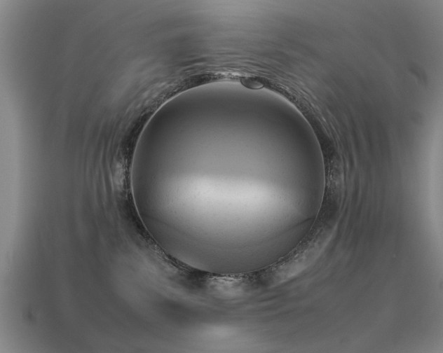 X0000113290139200909141212