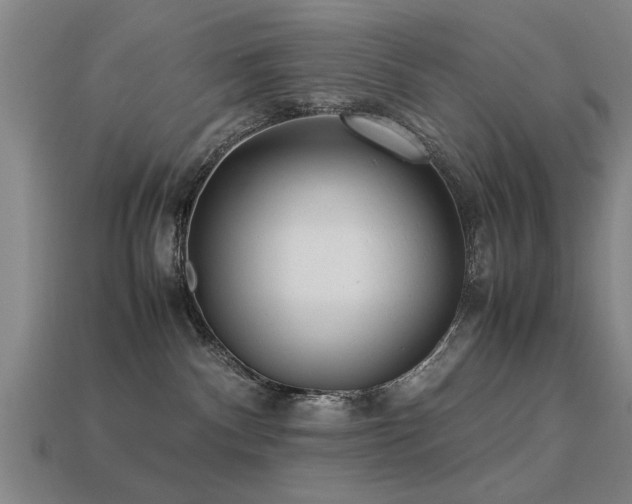 X0000113290140200909141212