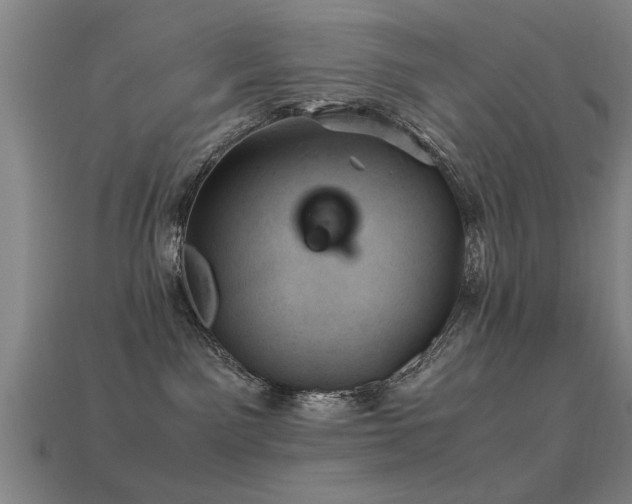 X0000113290141200909141212