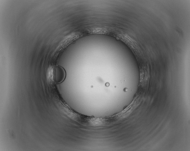 X0000113290142200909141212