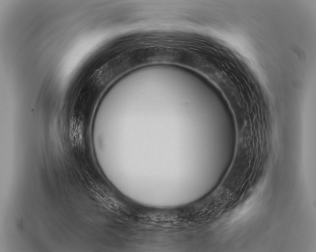 X0000113290146200909141211