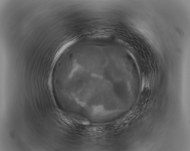 X0000113290147200909141211