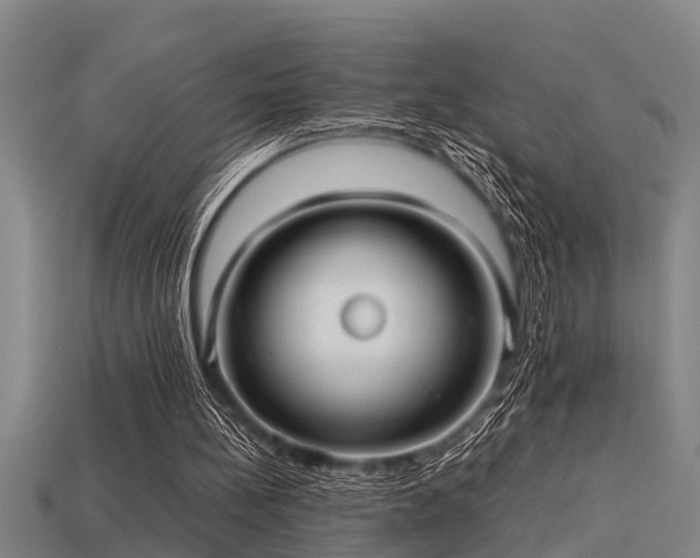 X0000113290148200909141212