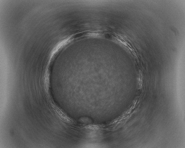 X0000113290149200909141212