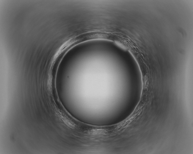 X0000113290150200909141212