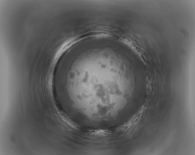 X0000113290151200909141212