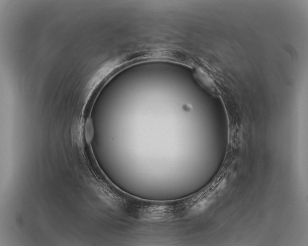 X0000113290152200909141212