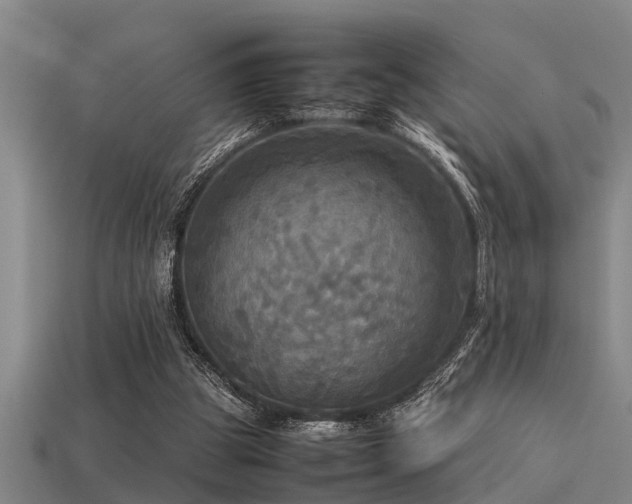 X0000113290153200909141212