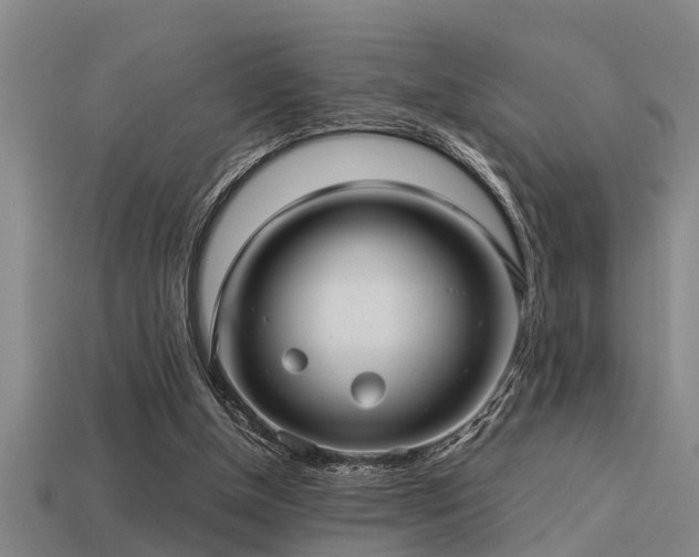 X0000113290154200909141212